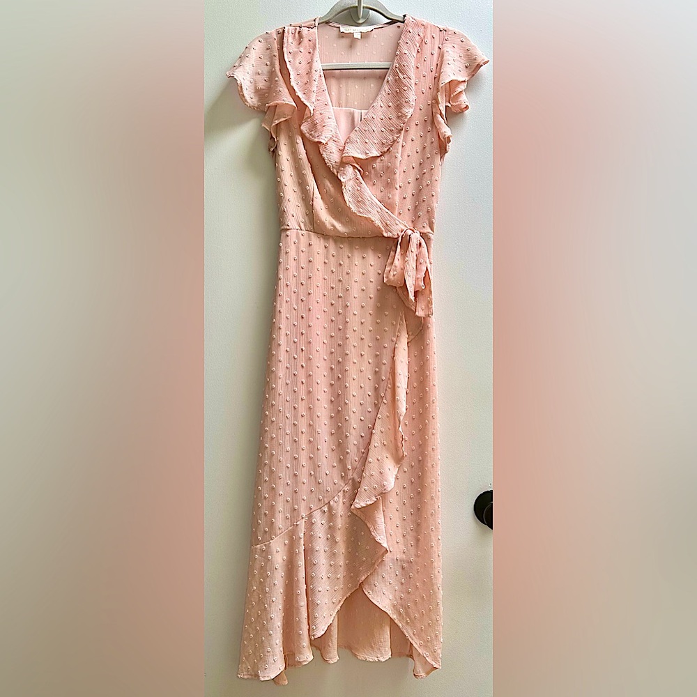 Monteau Los Angeles Pink Sheer Dot Asymmetrical Ruffle Wrap Maxi Dress